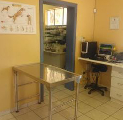 5_Consulting room.jpg